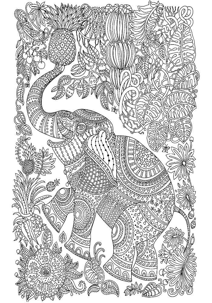 Coloring Patterns and elephant. Category patterns. Tags:  patterns, elephant, fruit, antistress.