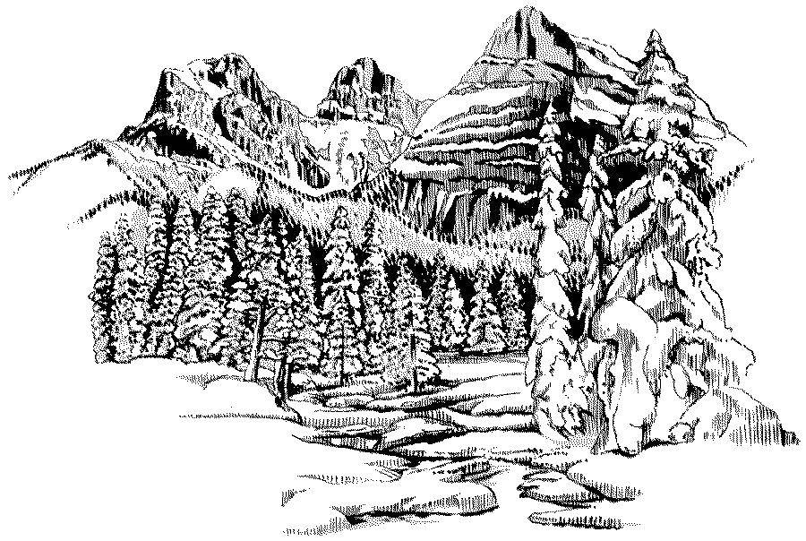 Название: Раскраска Заснеженные вершины и деревья. Категория: Природа. Теги: природа, горы, деревья.