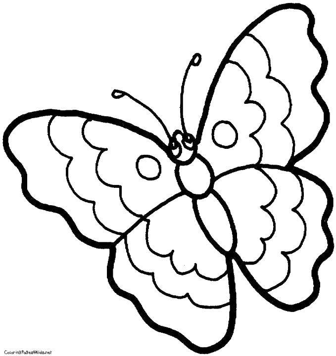Coloring Butterfly with scalloped wings. Category Butterfly. Tags:  butterfly, insects, wings.