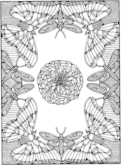Название: Раскраска Бабочки и стрекозы вокруг цветка. Категория: Насекомые. Теги: Бабочка, стрекоза, цветок.