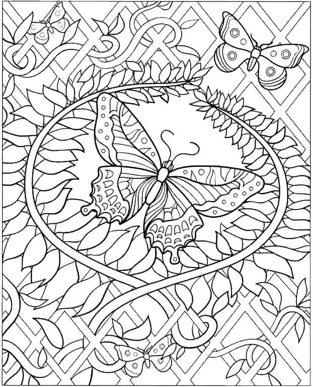 Coloring Butterflies and uzorchiki. Category coloring antistress. Tags:  the antistress, patterns, flowers, butterflies.