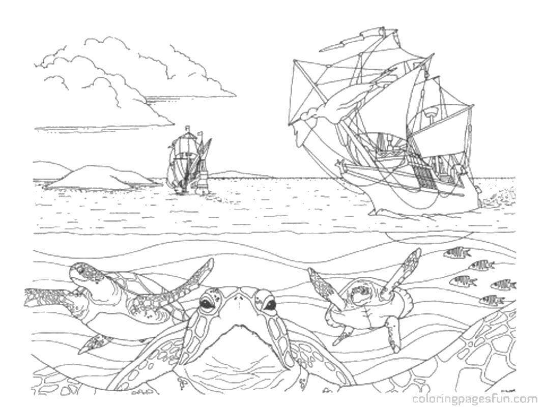 Название: Раскраска Черепахи плывут мимо кораблей. Категория: рептилии. Теги: Рептилия, черепаха.