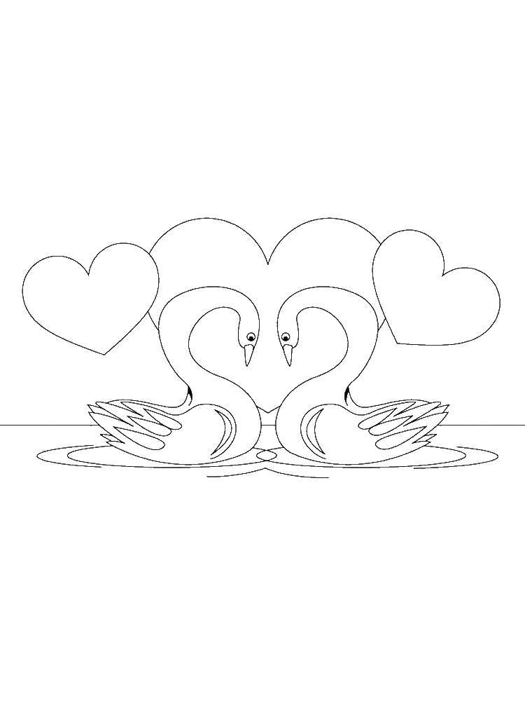 Название: Раскраска Два влюбленных лебедя. Категория: день святого валентина. Теги: День Святого Валентина, любовь.