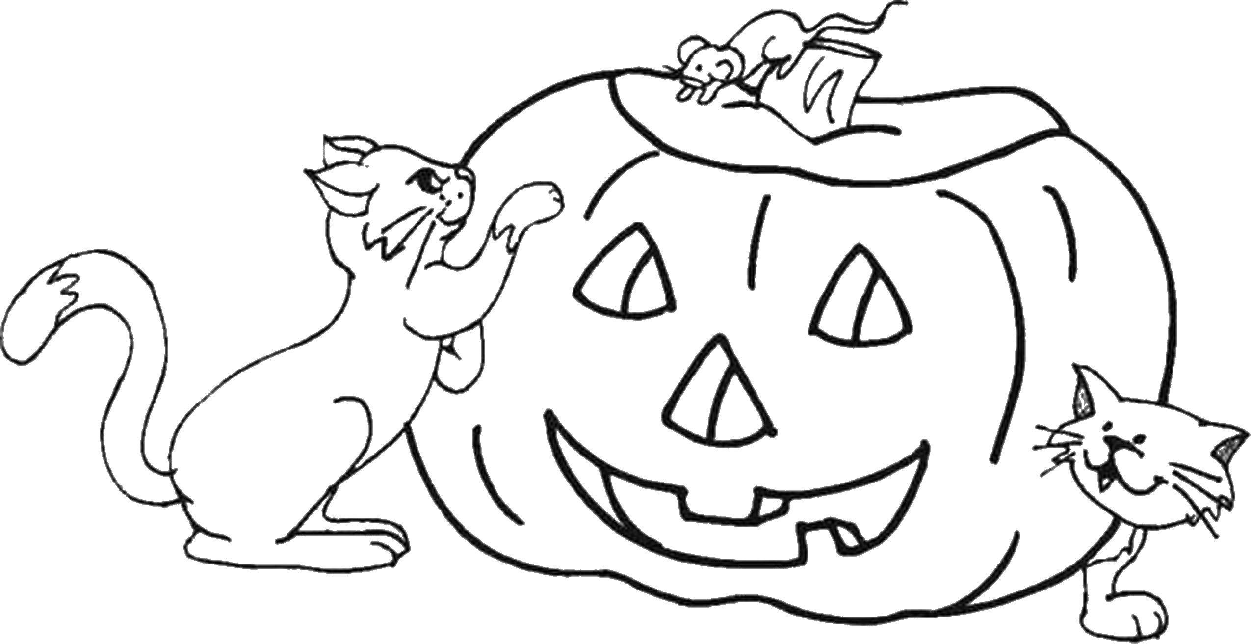 Coloring Cat a pumpkin. Category pumpkin Halloween. Tags:  pumpkin, Halloween, holiday.