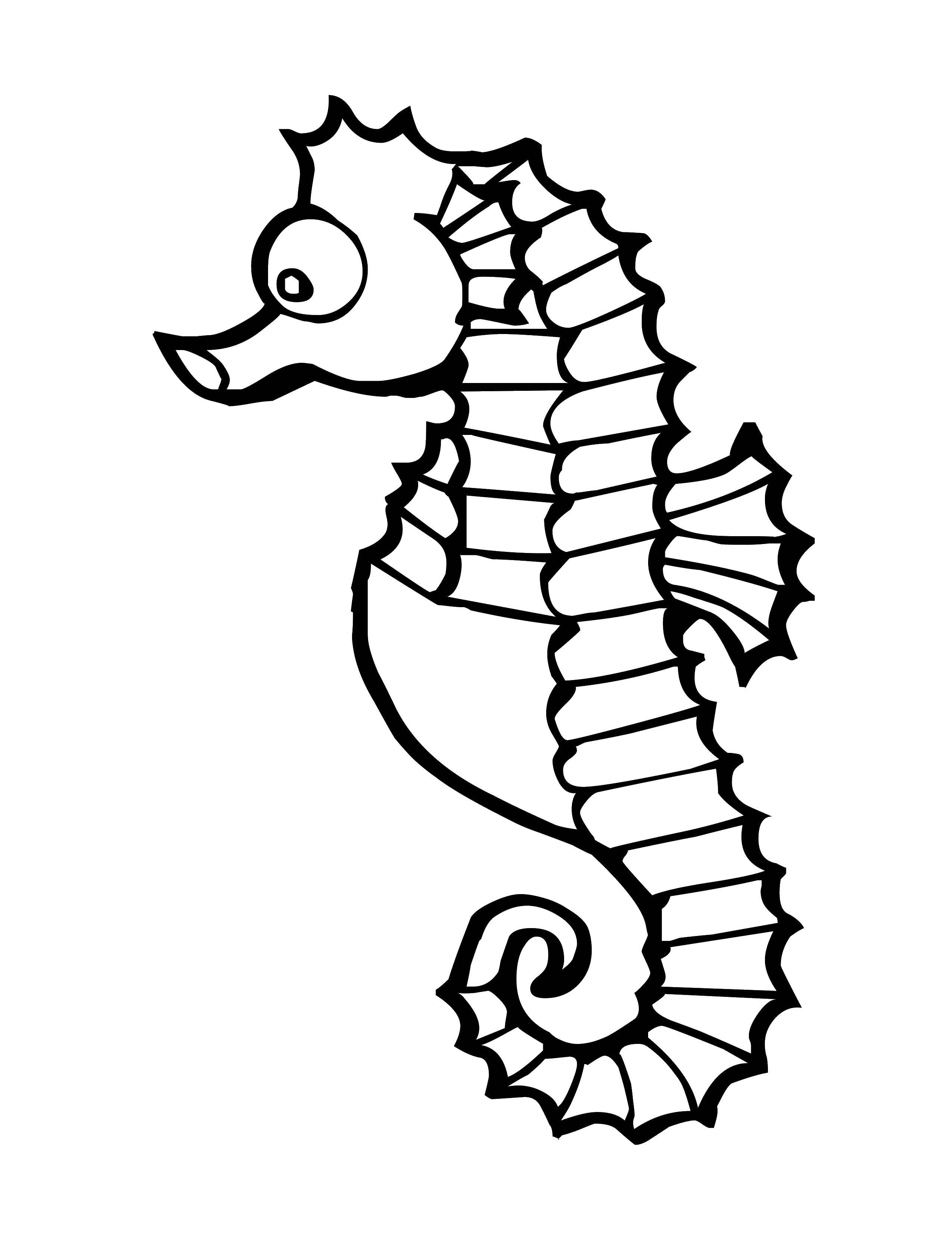 Название: Раскраска Морские коньки род небольших морских костистых рыб. Категория: животные. Теги: Морские коньки.