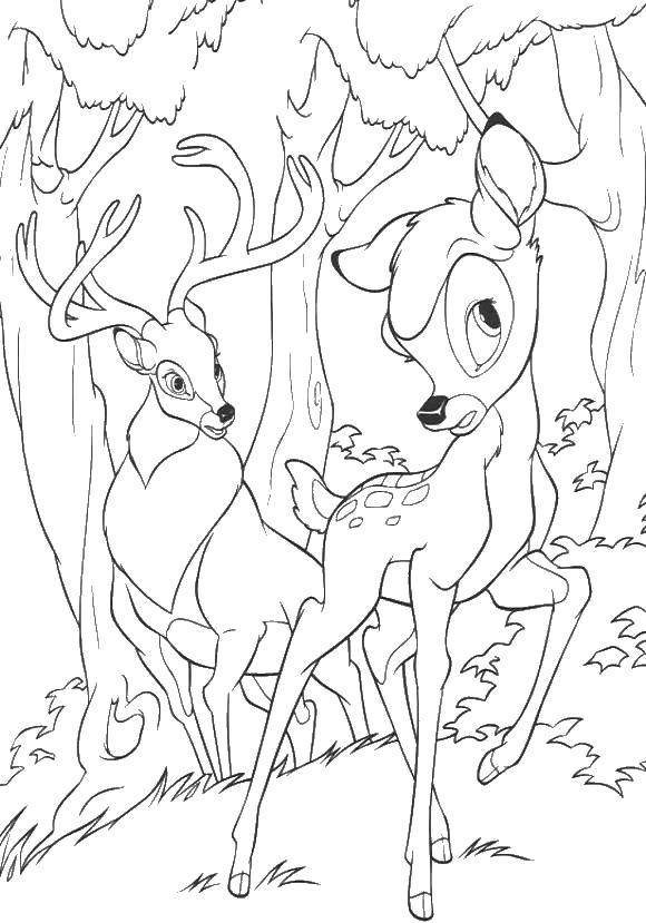 Название: Раскраска Олень и олененок. Категория: Диснеевские раскраски. Теги: олень, олененок, рога, лес.