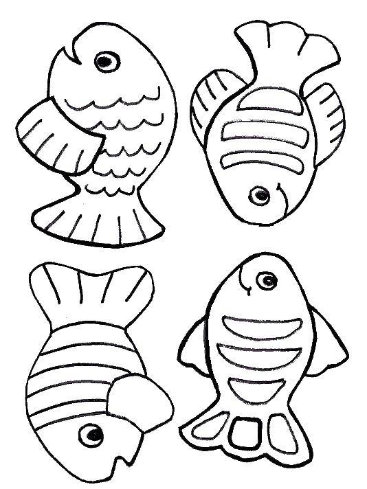 Coloring Striped fish. Category Fish. Tags:  fish, fishes, marine life.