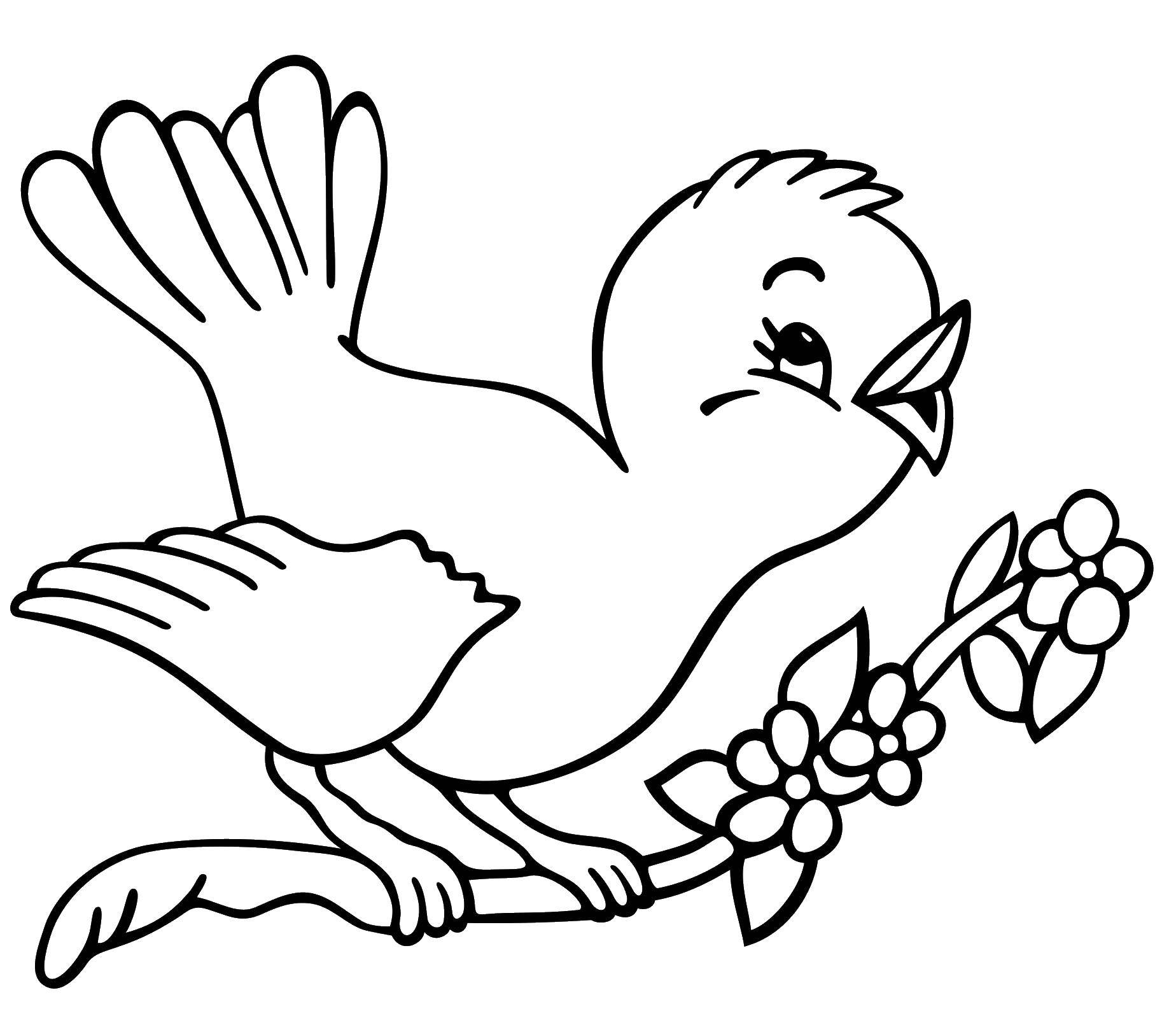Название: Раскраска Птичка на веточке с цветами. Категория: Птицы. Теги: Птицы.