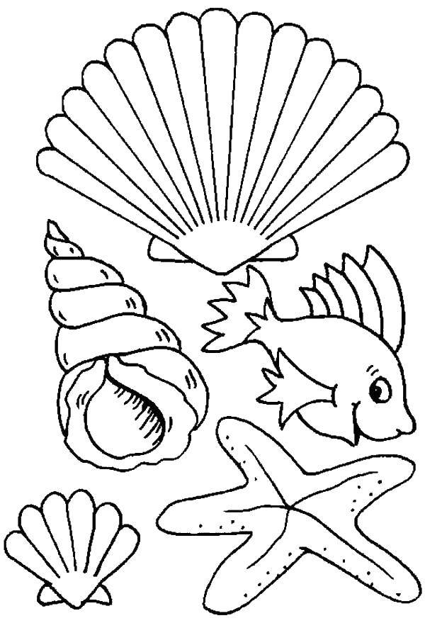 Название: Раскраска Ракушки и рыбка. Категория: Летний пляж. Теги: ракушки, рыбка.