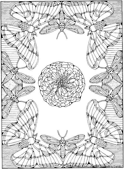 Coloring Coloring antistress. Category coloring antistress. Tags:  patterns, shapes, stress relief, butterfly.