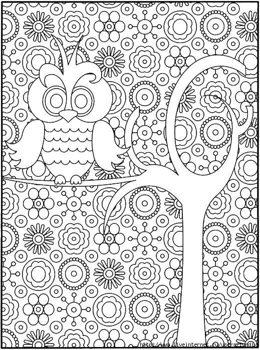 Coloring Coloring antistress. Category coloring antistress. Tags:  patterns, shapes, antistress, owl.