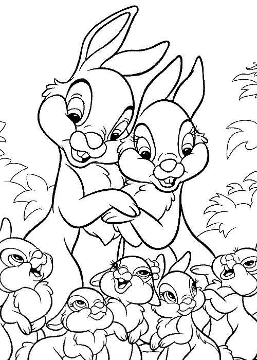 Название: Раскраска Рисунок семьи зайцев. Категория: домашние животные. Теги: заяц, кролик.