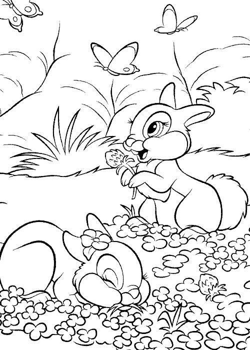 Coloring A picture of bunnies in the meadow. Category Pets allowed. Tags:  hare, rabbit.