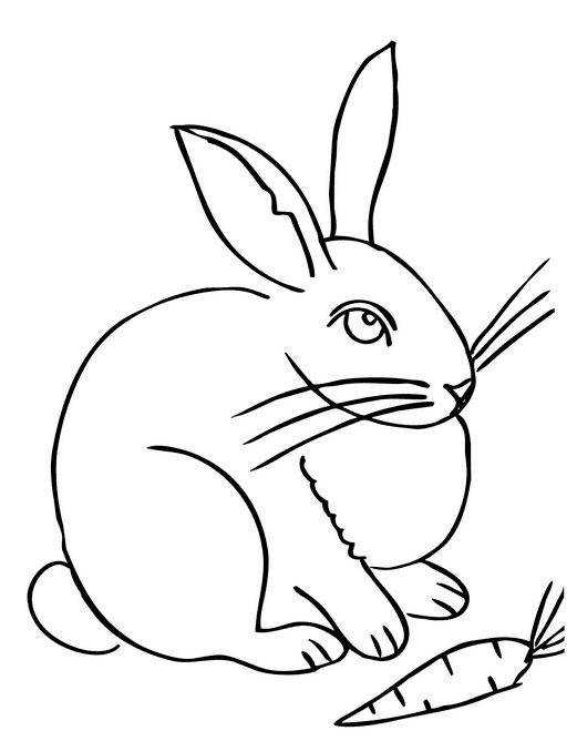 Название: Раскраска Рисунок зайца с морковкой. Категория: домашние животные. Теги: заяц, кролик.