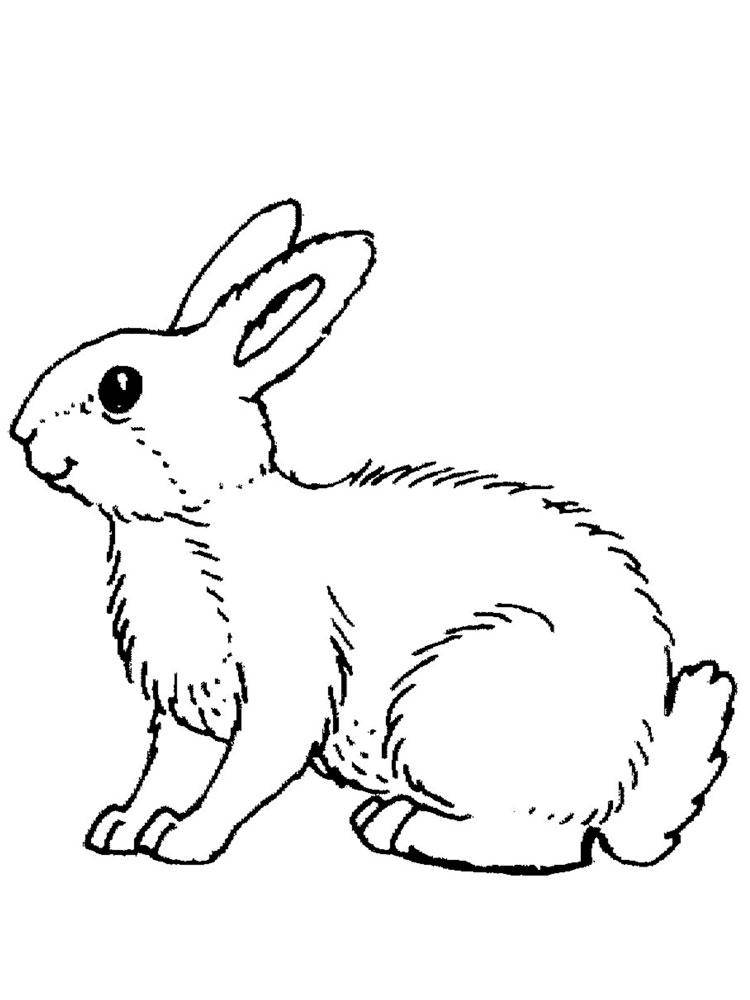Coloring Figure of a hare. Category Pets allowed. Tags:  hare, rabbit.