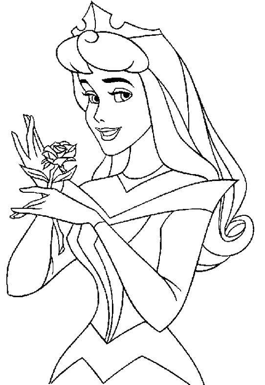 Coloring Rose with rose. Category Princess. Tags:  princesses, cartoons, fairy tales, sleeping beauty, rose.