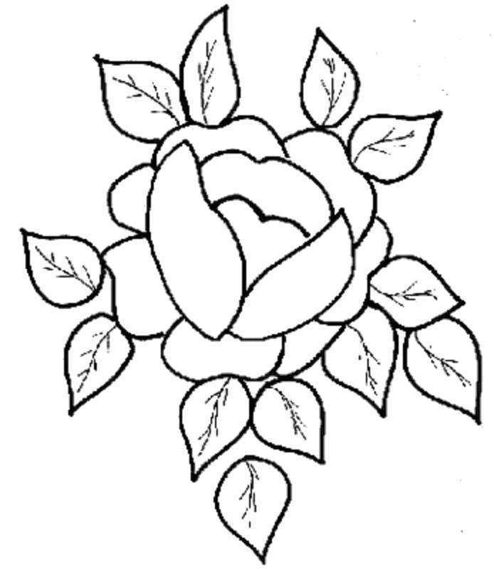 Название: Раскраска Роза в лепестках. Категория: Цветы. Теги: Цветы, розы.