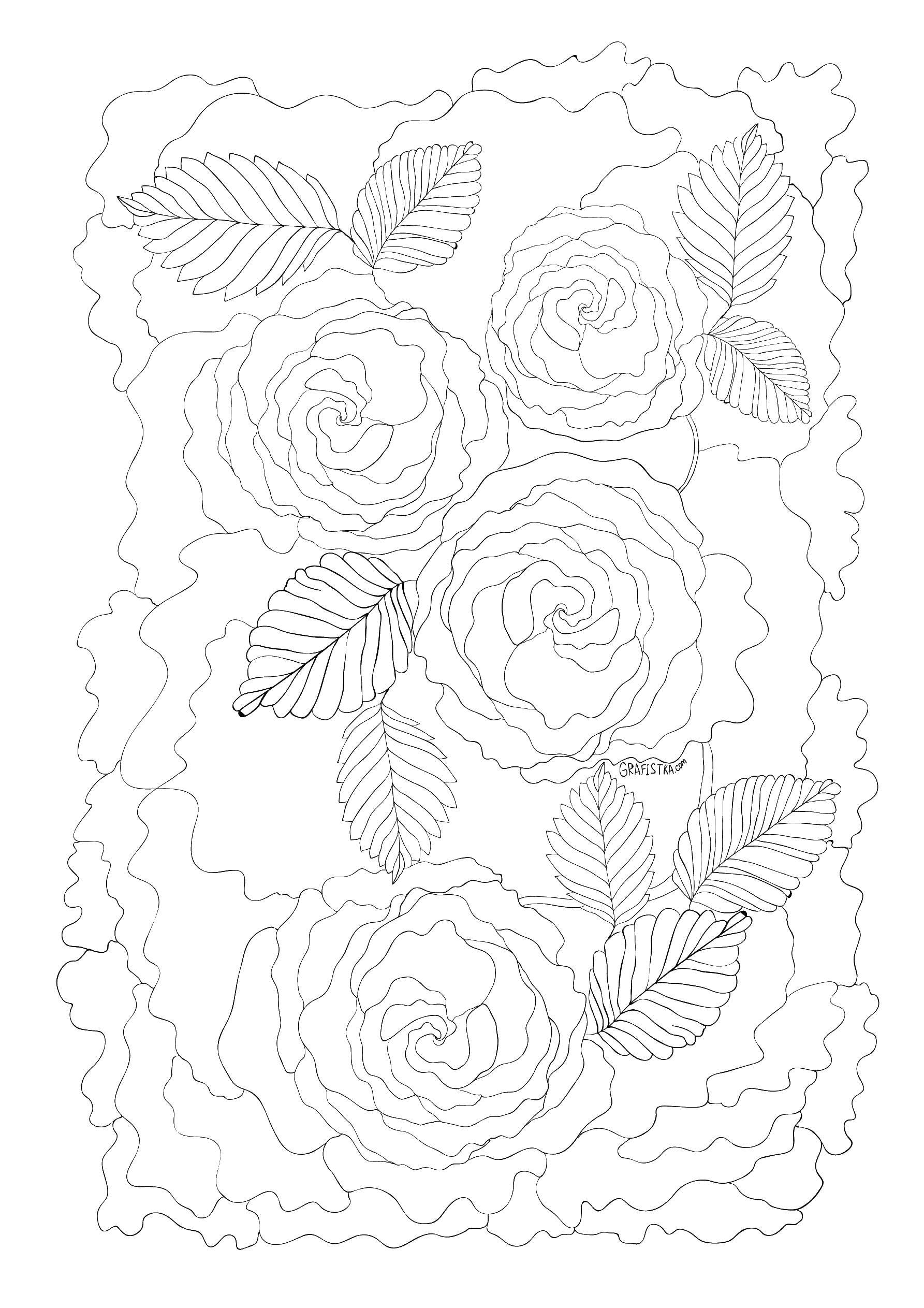 Coloring Roses. Category flowers. Tags:  roses.