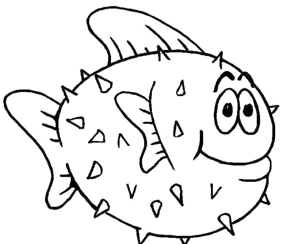 Название: Раскраска Рыба еж. Категория: Рыбы. Теги: рыба, еж, шипы.