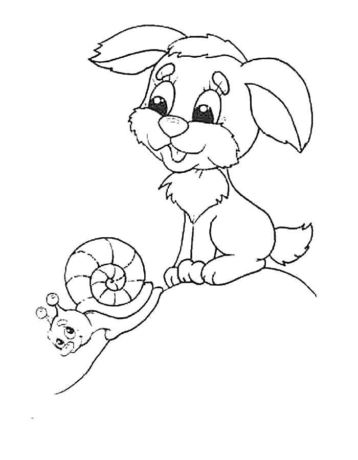Coloring Dog with a snail. Category Pets allowed. Tags:  dog, snail.