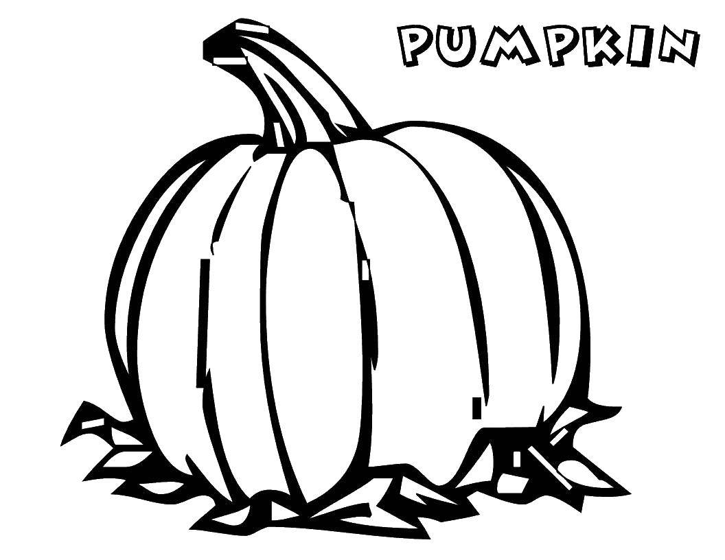 Coloring Pumpkin. Category English. Tags:  English, pumpkin.