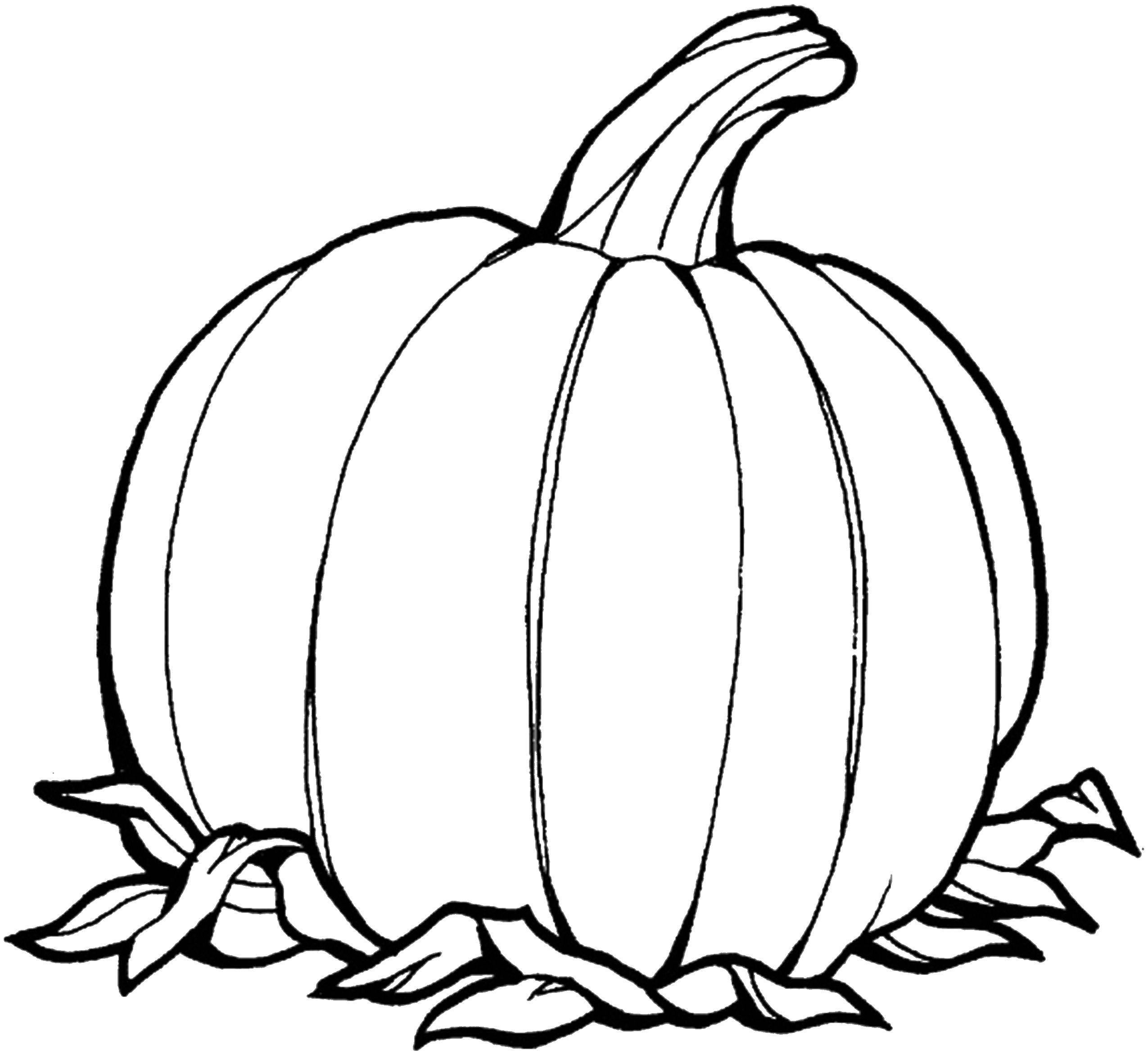 Coloring Pumpkin. Category autumn harvest. Tags:  autumn, harvest, pumpkins.