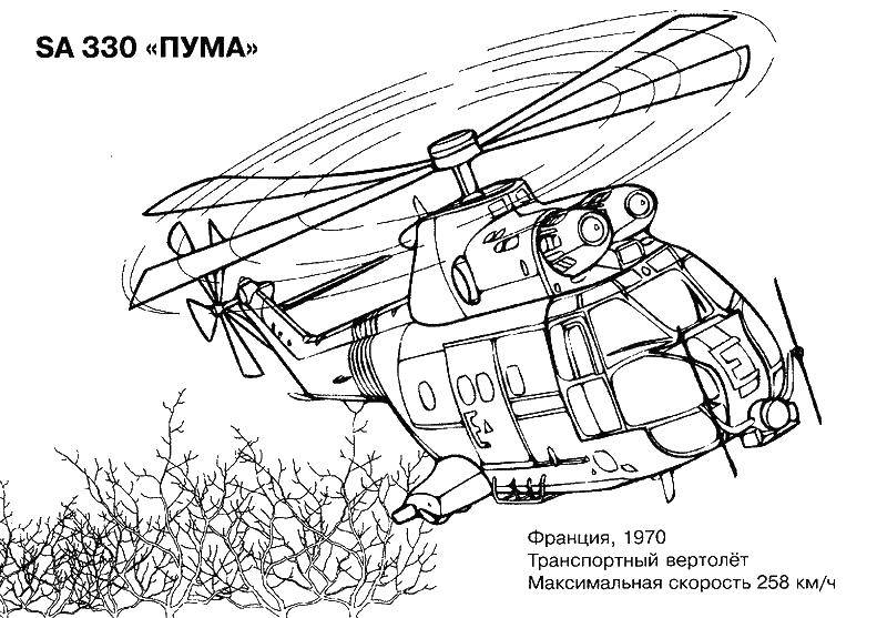 Название: Раскраска Вертолет пума. Категория: Вертолеты. Теги: вертолеты, пума, транспорт.