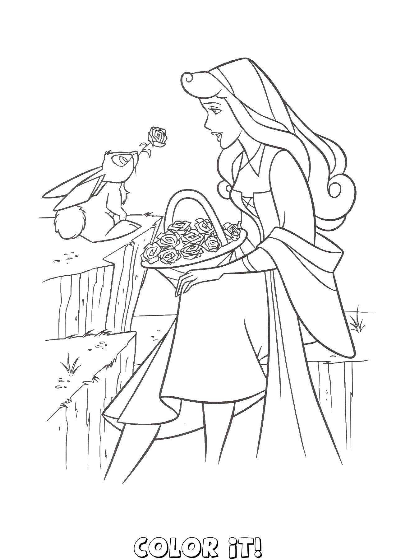 Coloring Bunny gives a rose. Category Princess. Tags:  Sleeping beauty, Disney.