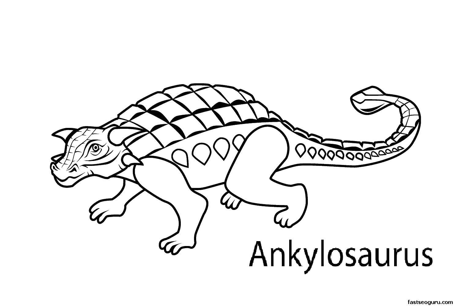 Название: Раскраска Анкилозавр на 4 лапках. Категория: парк юрского периода. Теги: Динозавры.