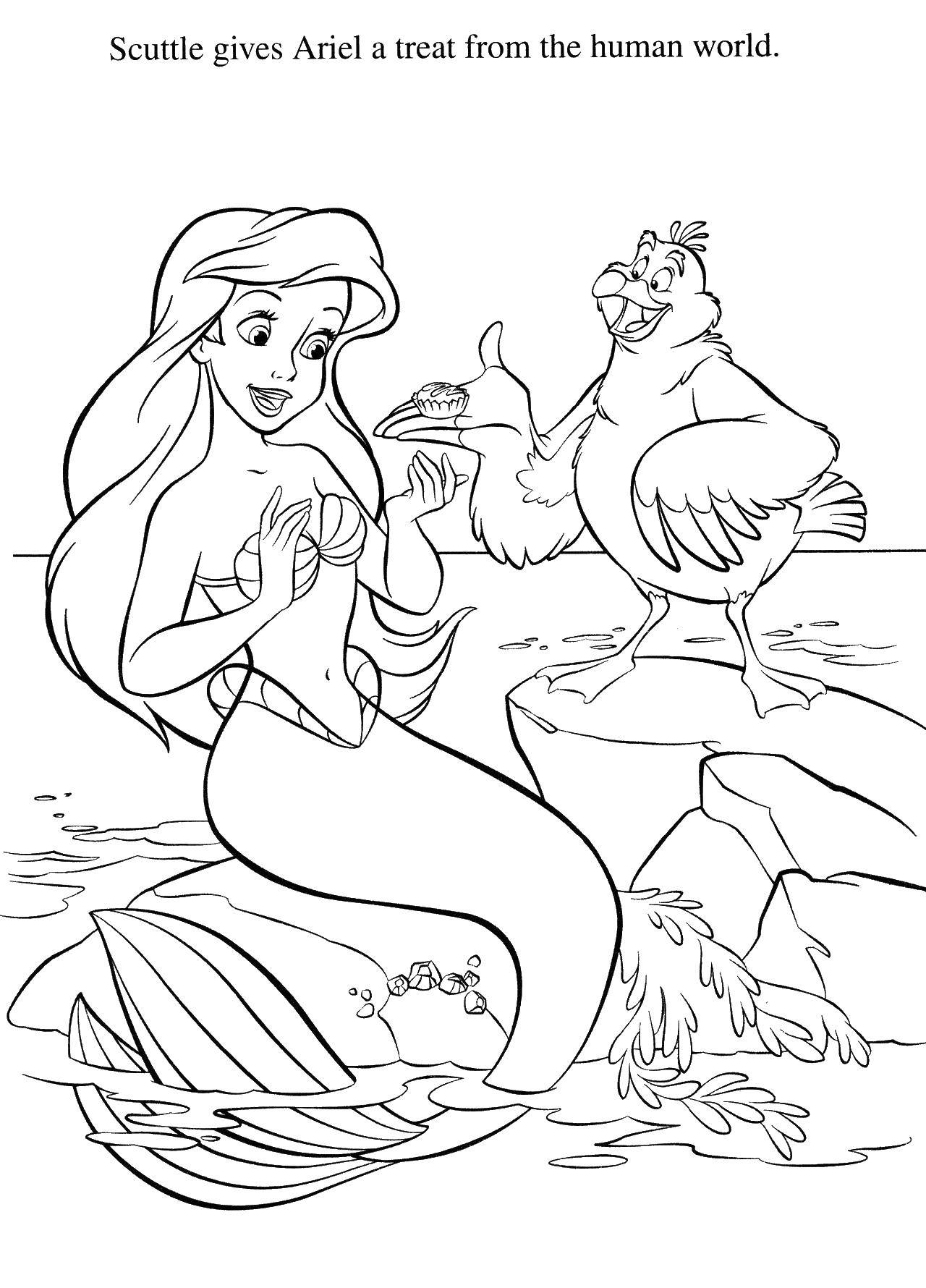 Coloring Ariel can live in the human world. Category The little mermaid. Tags:  Disney, the little mermaid, Ariel.