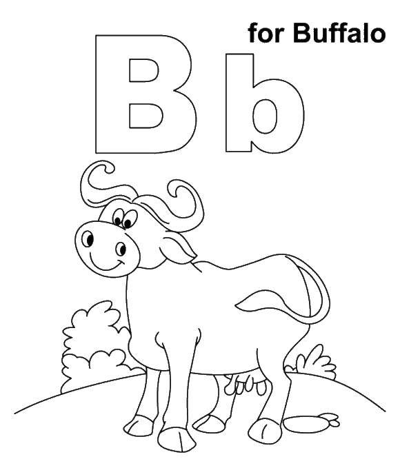 Coloring B Buffalo. Category English alphabet. Tags:  The alphabet, letters, words.