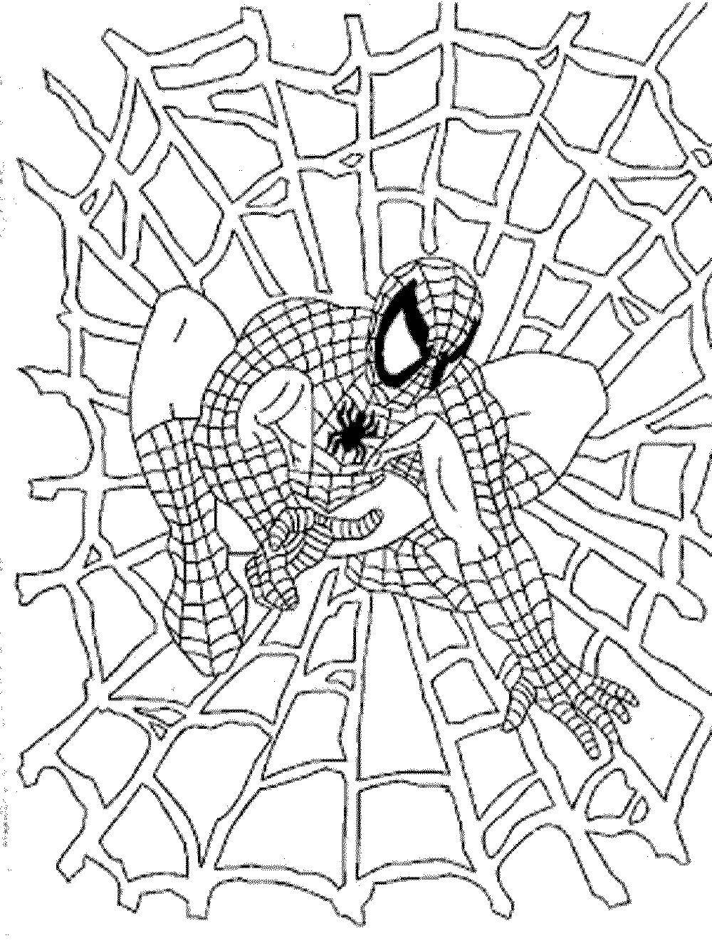 Название: Раскраска Человек паук на паутине. Категория: Персонаж из мультфильма. Теги: Персонаж из мультфильма, Человек Паук, комиксы.