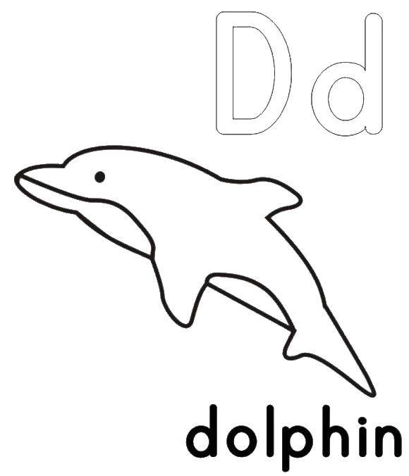 Название: Раскраска Дельфин это д. Категория: Английский алфавит. Теги: Алфавит, буквы, слова.