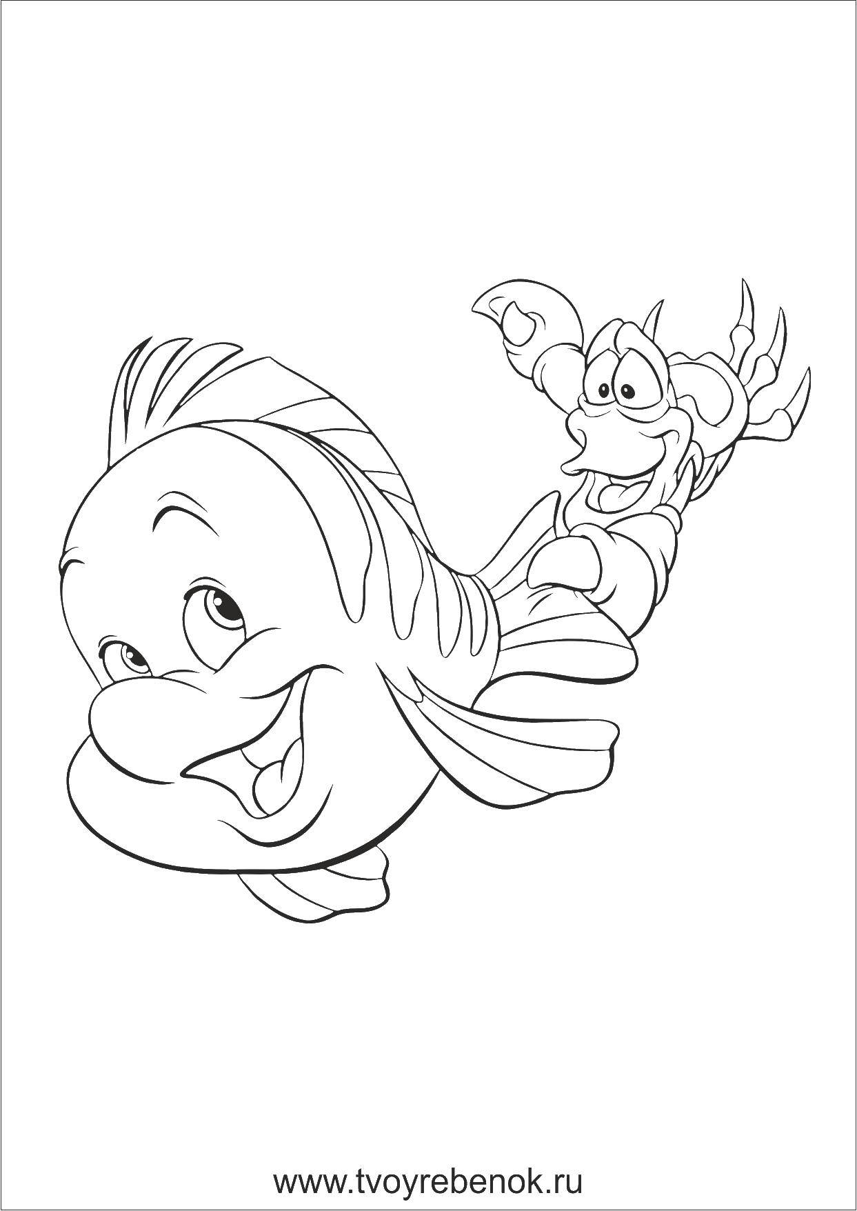 Coloring Flounder rolls the other. Category the little mermaid Ariel. Tags:  Disney, the little mermaid, Ariel.