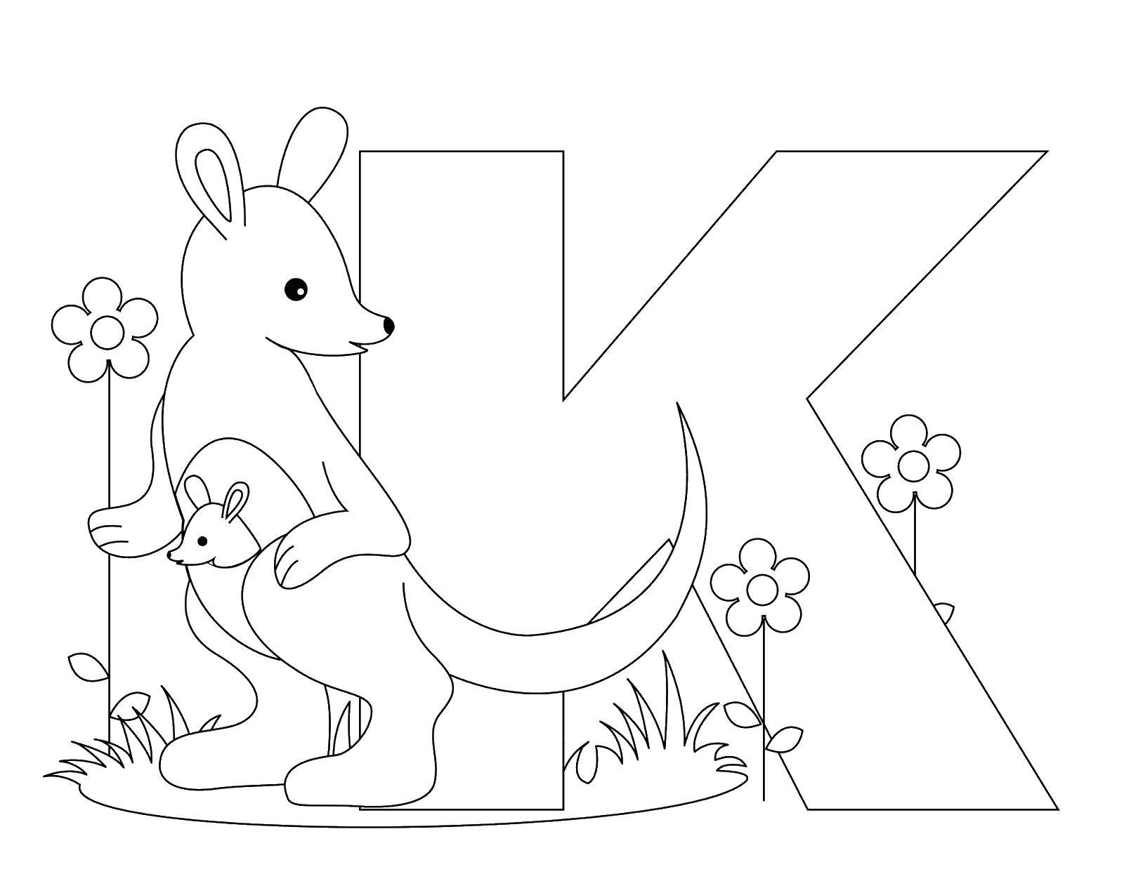 Coloring Kangaroo letter K. Category English alphabet. Tags:  The alphabet, letters, words.
