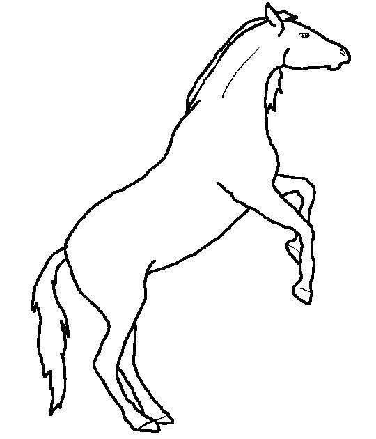Coloring Horse. Category the contours of the horse. Tags:  contour, horse, horse.