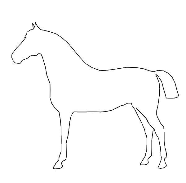 Coloring The contours of the horse. Category the contours of the horse. Tags:  the contours, horses, animals.