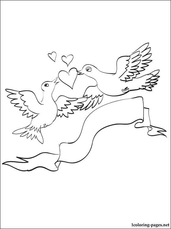 Название: Раскраска Любовь между птицами. Категория: Птицы. Теги: Птицы.