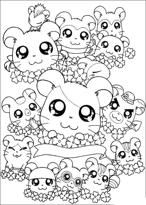 Coloring Mice in flowers. Category animals cubs . Tags:  Animals, mouse.