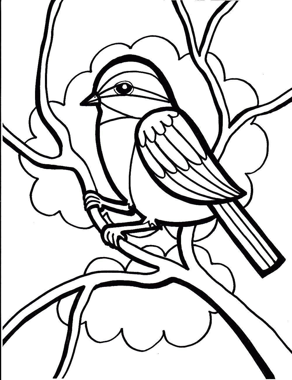 Coloring On the branch sits a bird. Category birds. Tags:  Birds.