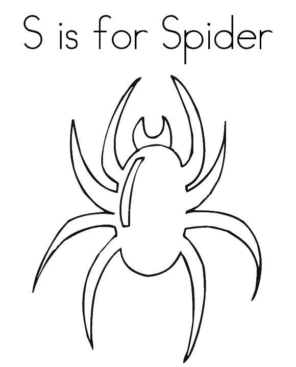 Coloring Spider p. Category English alphabet. Tags:  The alphabet, letters, words.
