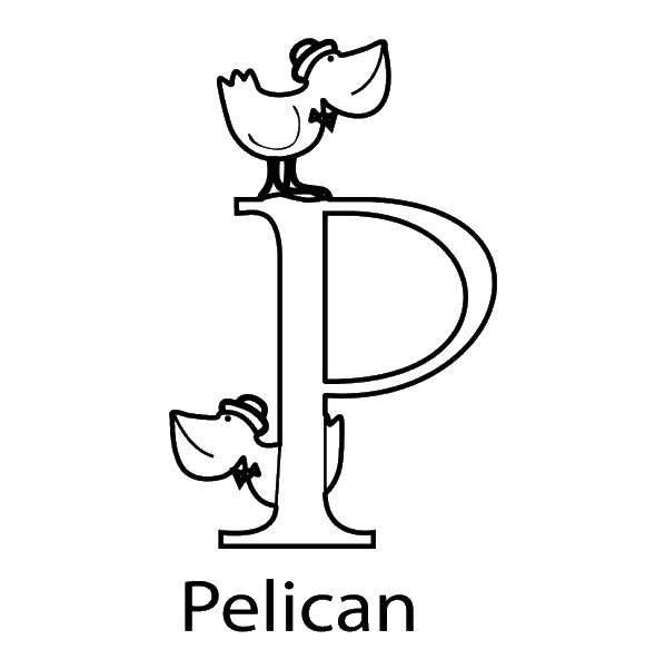 Название: Раскраска Пеликан п. Категория: Английский алфавит. Теги: Алфавит, буквы, слова.