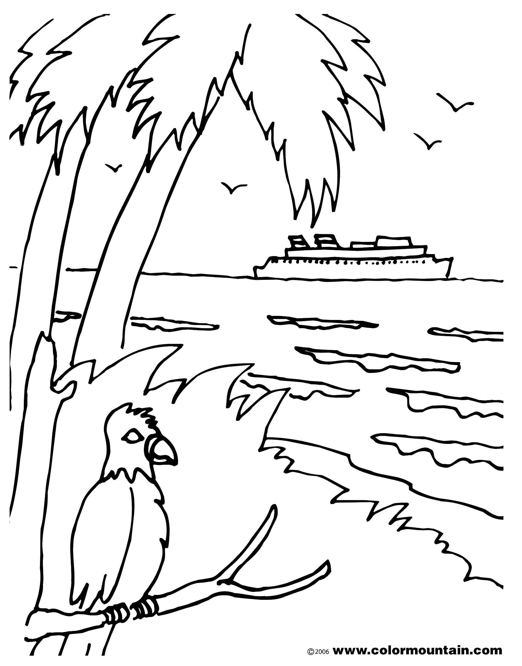 Название: Раскраска Попугай наблюдает за пароходом. Категория: остров. Теги: Птицы, попугай.