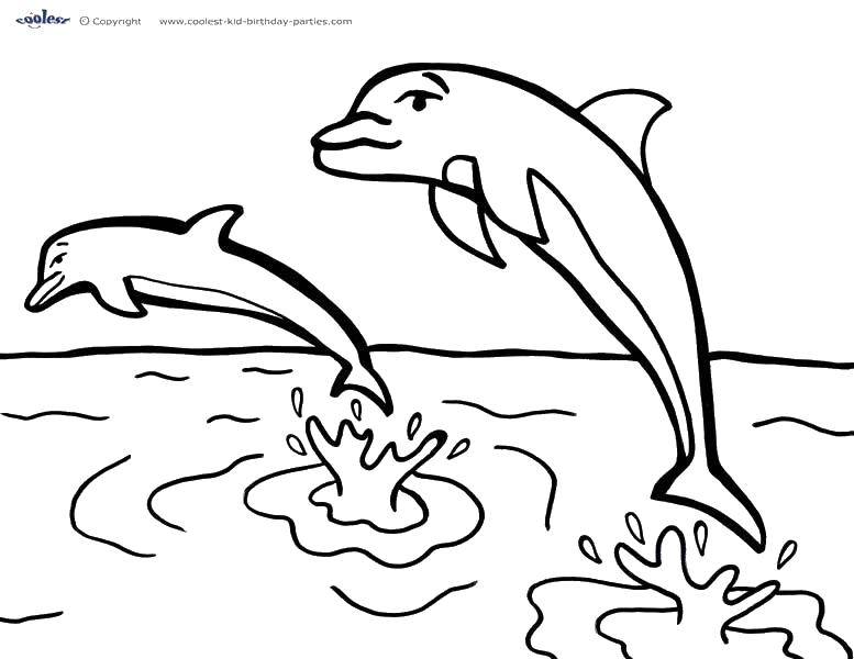Название: Раскраска Прыжки из воды. Категория: морское. Теги: Подводный мир, дельфин.