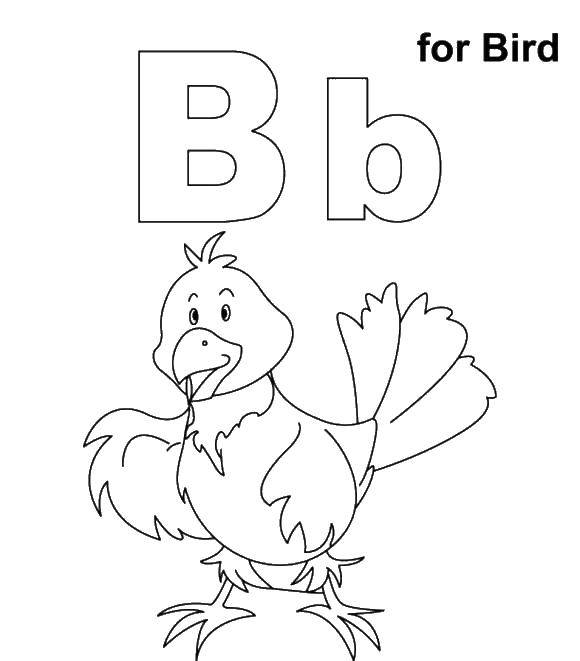 Coloring Bird p. Category English alphabet. Tags:  The alphabet, letters, words.