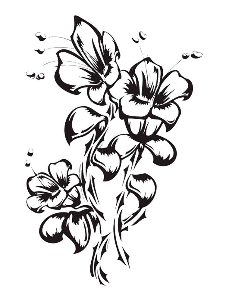 Название: Раскраска Распустившиеся тюльпаны. Категория: цветы. Теги: Цветы, тюльпаны.