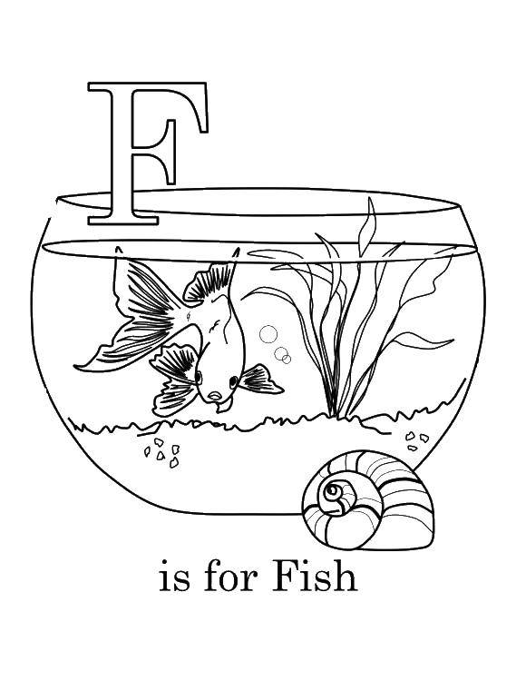 Название: Раскраска Рыбка р. Категория: Английский алфавит. Теги: Алфавит, буквы, слова.