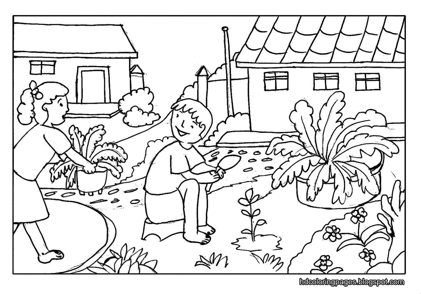 Coloring Plant. Category vegetable garden. Tags:  Garden, nature.