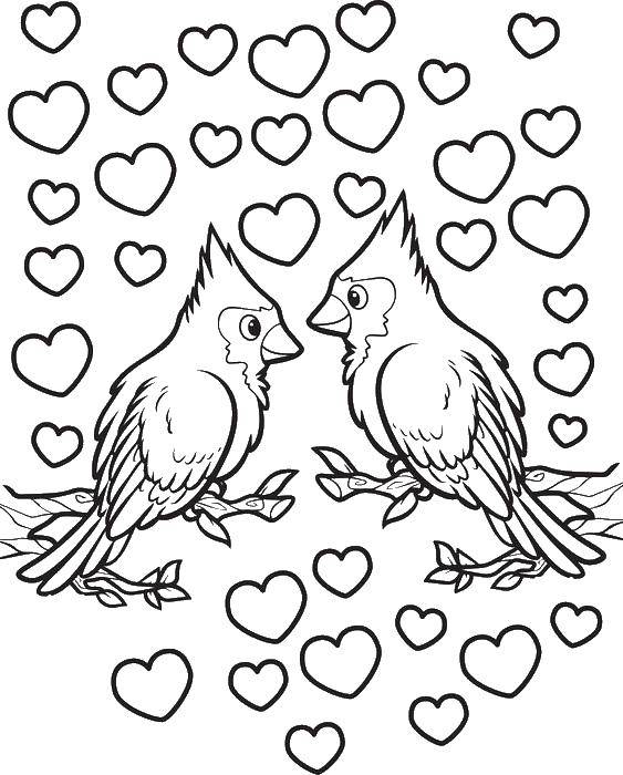 Название: Раскраска Сильная любовьп тичек. Категория: Птицы. Теги: Сердечко, любовь.