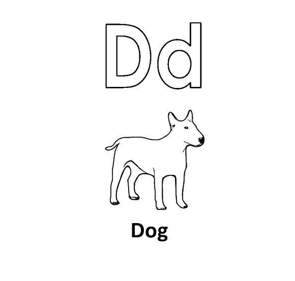 Название: Раскраска Собака это буква с. Категория: Английский алфавит. Теги: Алфавит, буквы, слова.